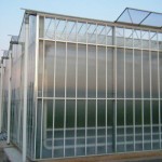 گلخانه شیشه ای مدل Venlo